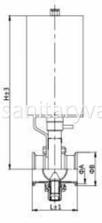 hygienic clamped pneumatic butterfly valve DIN SS304 1